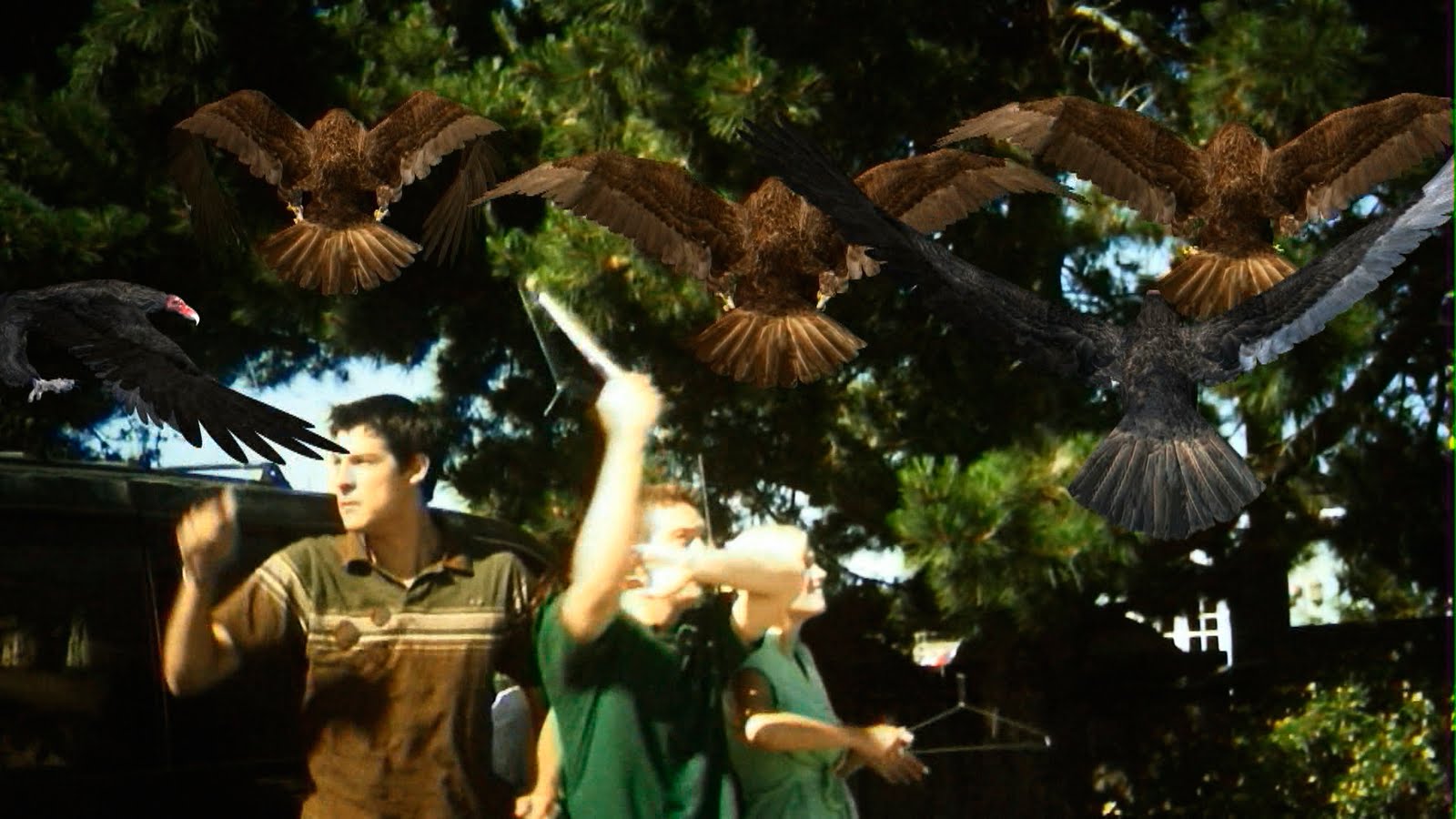 BIRDEMICwire