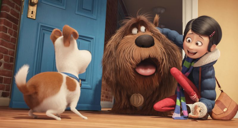 pets-a-vida-secreta-dos-nossos-bichos-analise-04-pn
