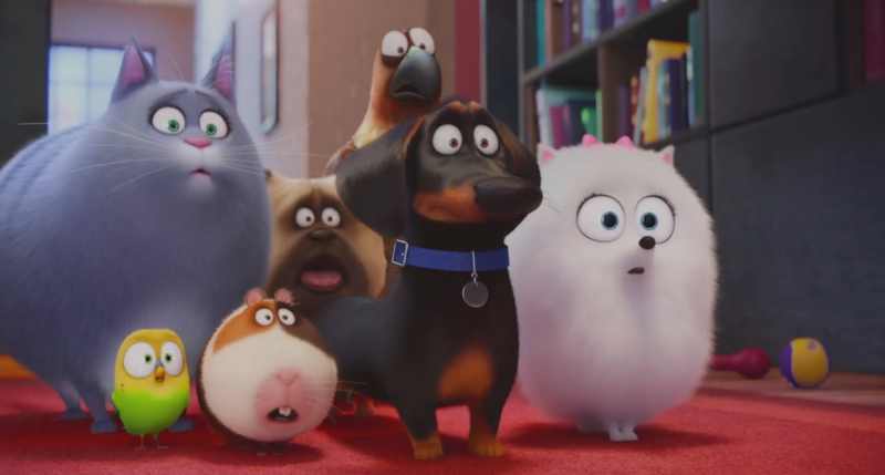 pets-a-vida-secreta-dos-nossos-bichos-analise-05-pn