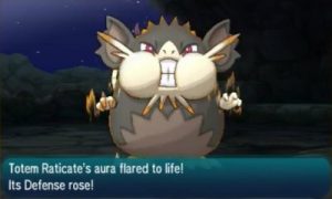 totem-raticate-pokemon-sun-moon-pn