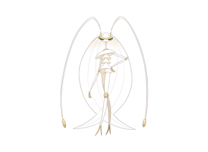 ub-02-beauty-pokemon-sun-moon-pn